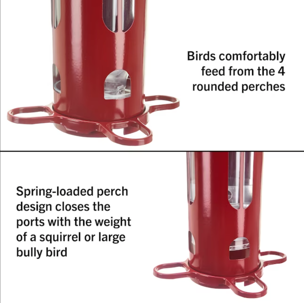 More Birds - Squirrel-X8 Squirrel-Resistant Bird Feeder