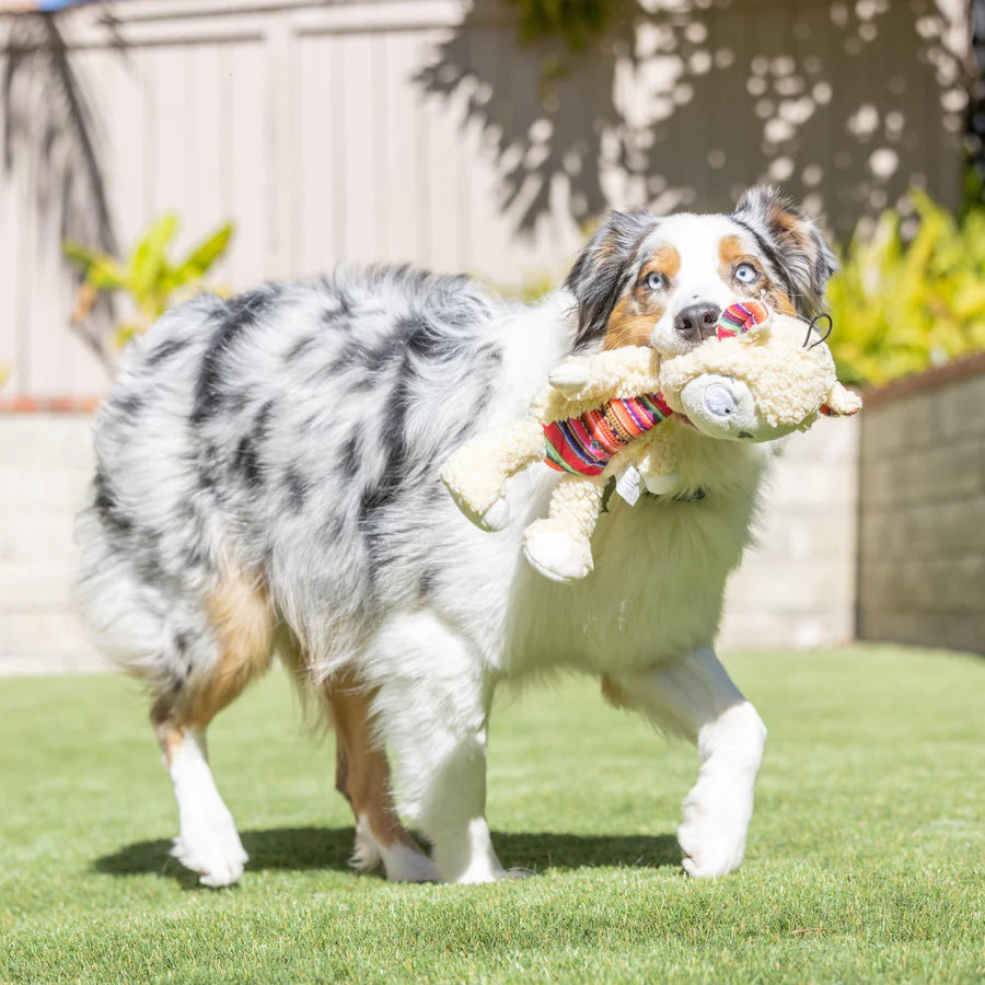 Huxley & Kent - Shama Llama for Dogs