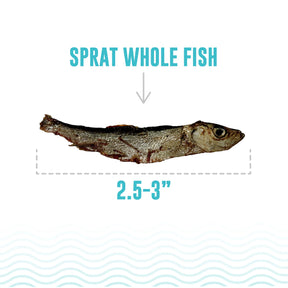 Icelandic+ -Sprat Whole Fish Cat Treats