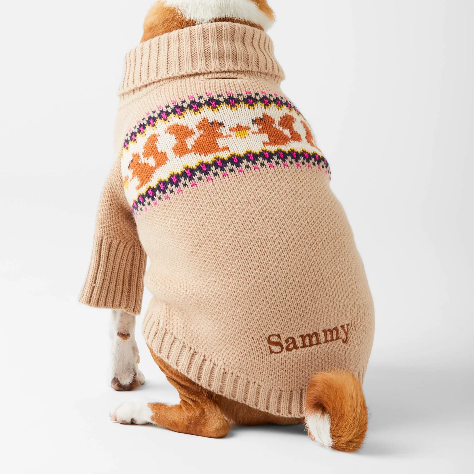 Dog Sweater Squirrel Cable Knit