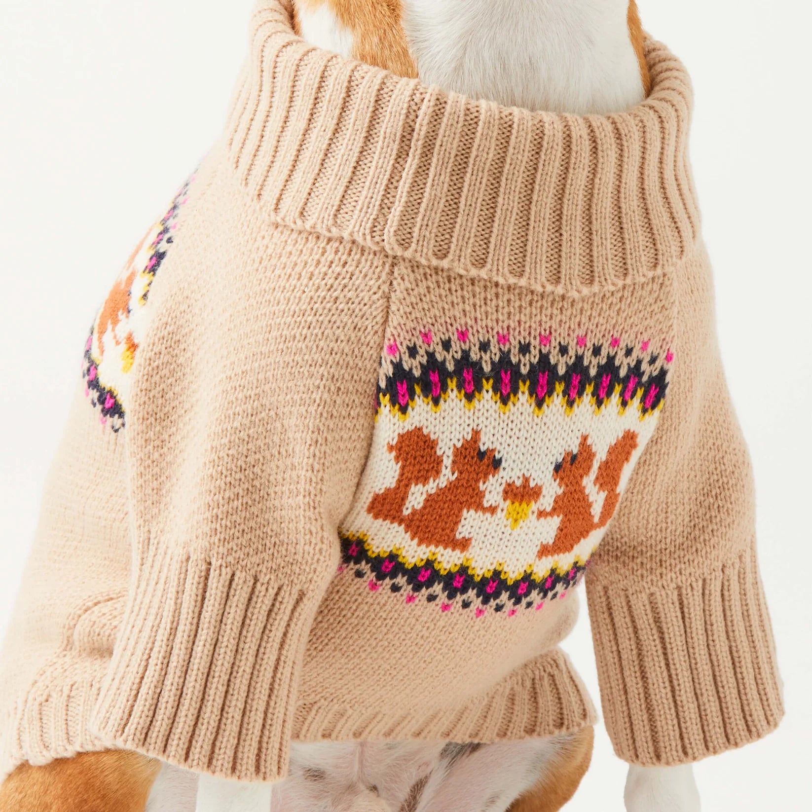 Dog Sweater Squirrel Cable Knit