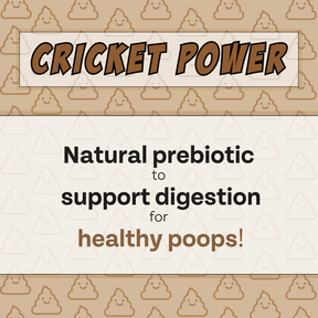 Chippin - Superfood (Peanut Butter-Cricket-Pumpkin) Dog Treat