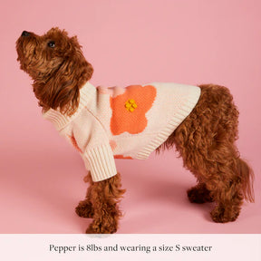 Dog Sweater In Bloom Spring