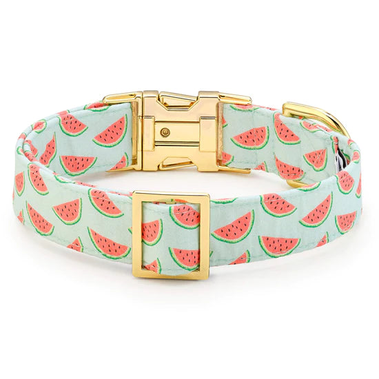 Dog Collar One In A Melon