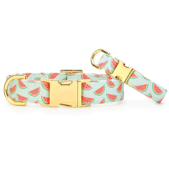 Dog Collar One In A Melon