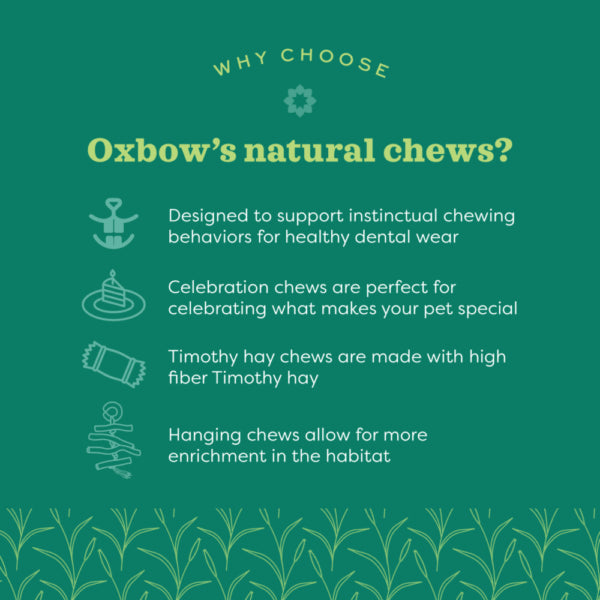 Enriched Life Celebration Party Pack Small Animal Chews by Oxbow