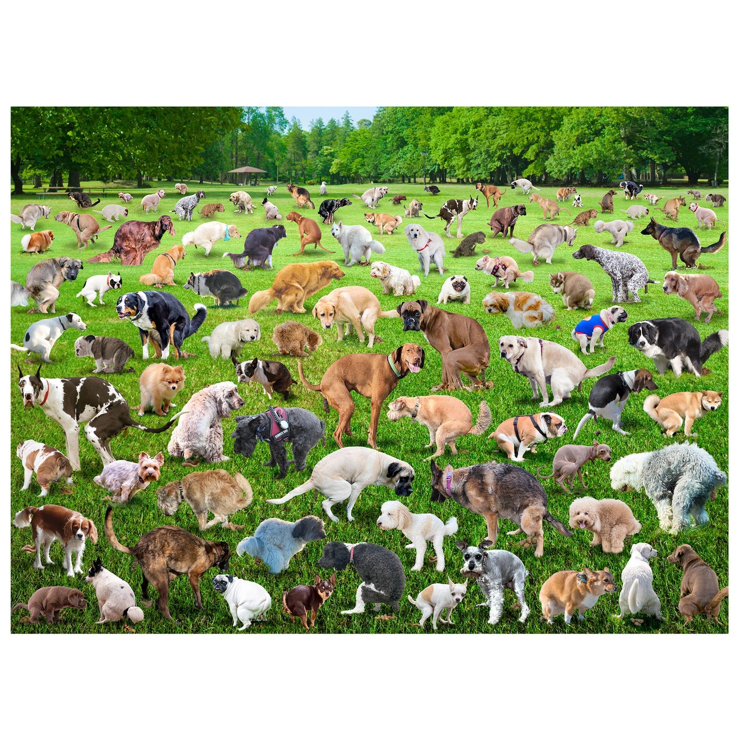 101 Pooping Puppies 500 Piece Puzzle