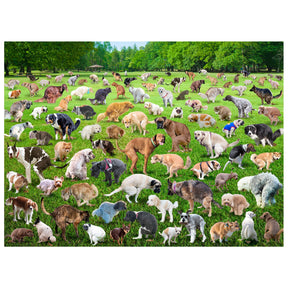 101 Pooping Puppies 500 Piece Puzzle
