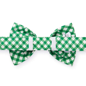 Dog Bowtie Grass Gingham