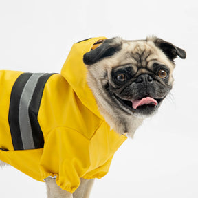 Aden Dog Raincoat Yellow