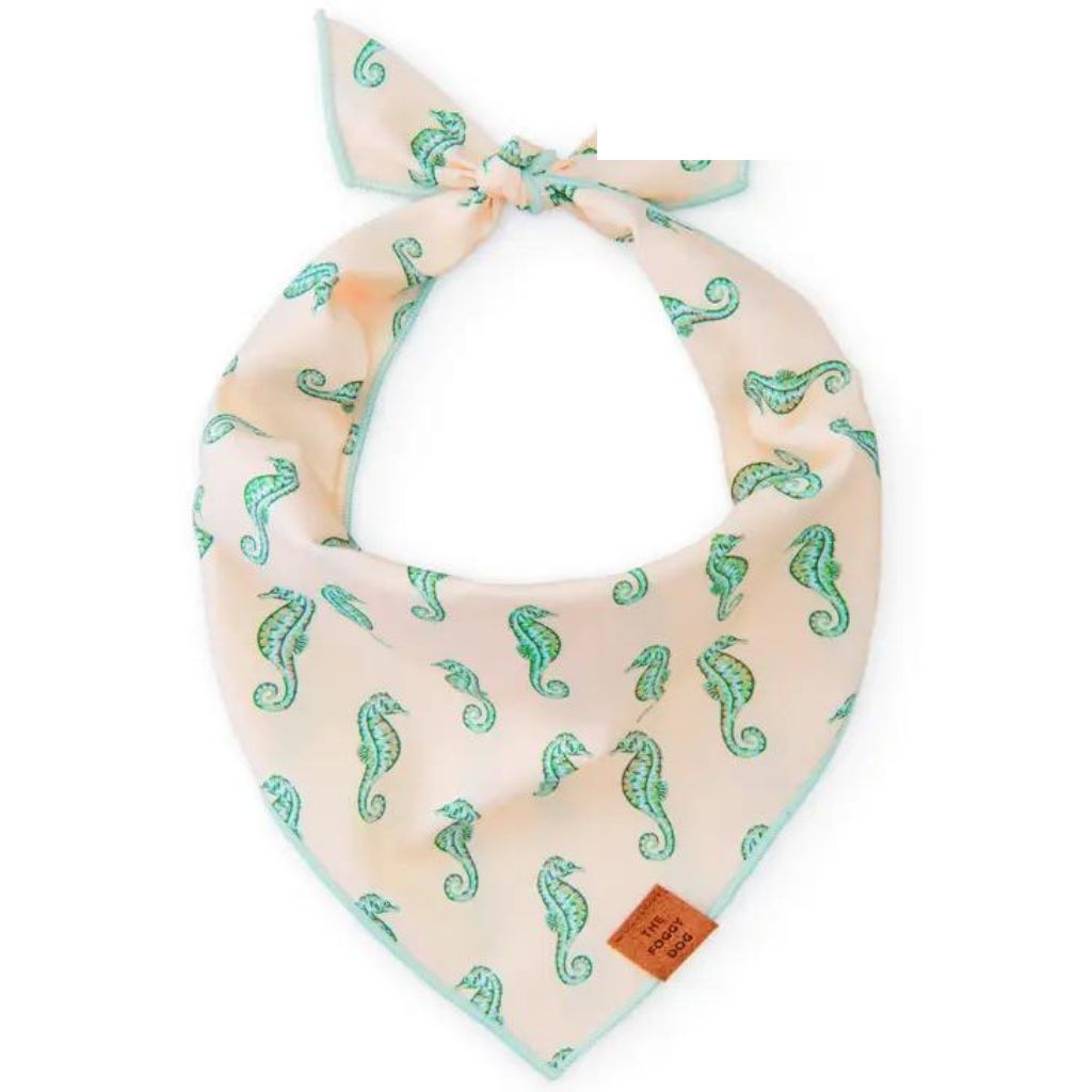 Seahorse Bandana