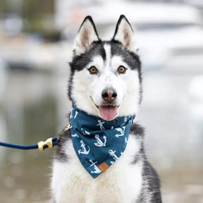 Down By the Sea Bandana