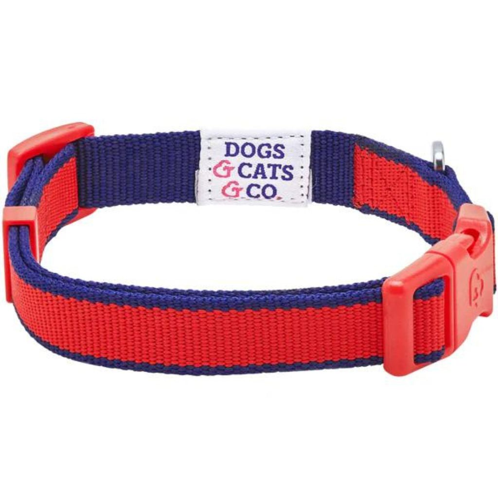 Contrast Stripe Red/Navy Dog Collar