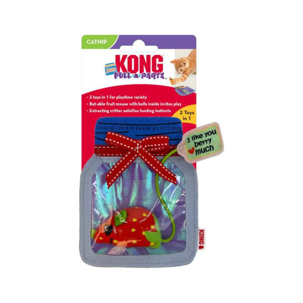 KONG Pull-A-Partz Jamz - Fabric Jar