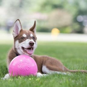 Jolly Ball - Bounce-N-Play Ball Pink