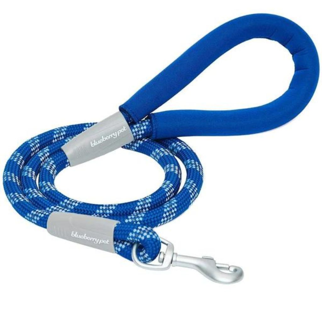 Neoprene Handle Rope Dog Leash in Diagonal Stripe