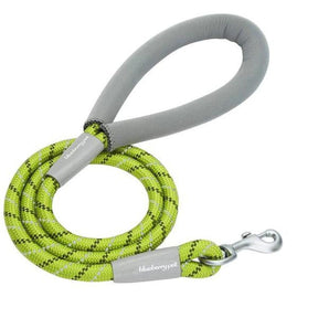 Neoprene Handle Rope Dog Leash in Diagonal Stripe