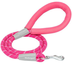 Neoprene Handle Rope Dog Leash in Diagonal Stripe