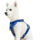 Blue | Reflective Mesh Padded No Pull Dog Harness Vest