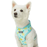 Refreshing Lemon | Zesty Fruit Dog Harness Vest