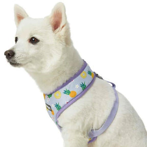 Pineapple | Zesty Fruit Dog Harness Vest