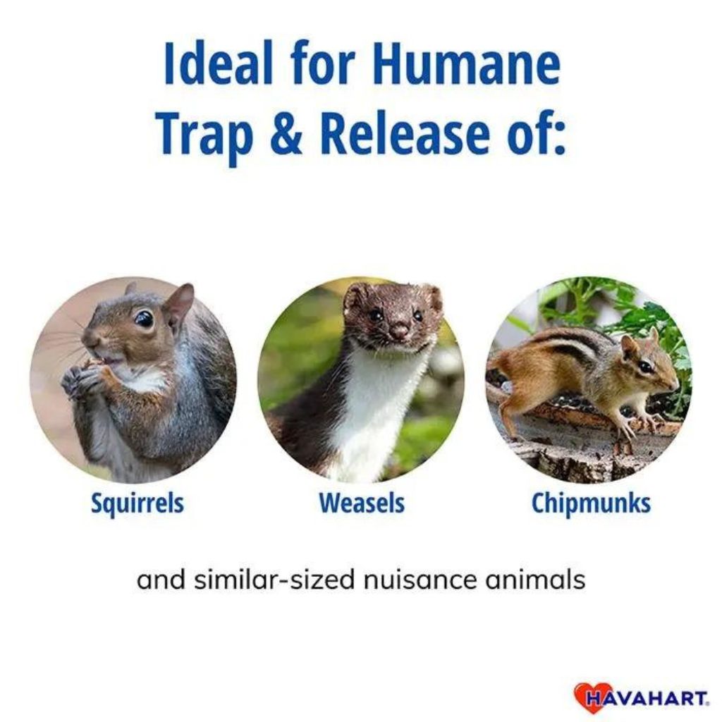 Havahart Small - One Door Live Animal Trap