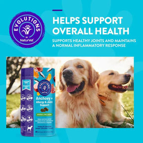 NaturVet Anchovy + Allergy & Joint Support Soft Chews