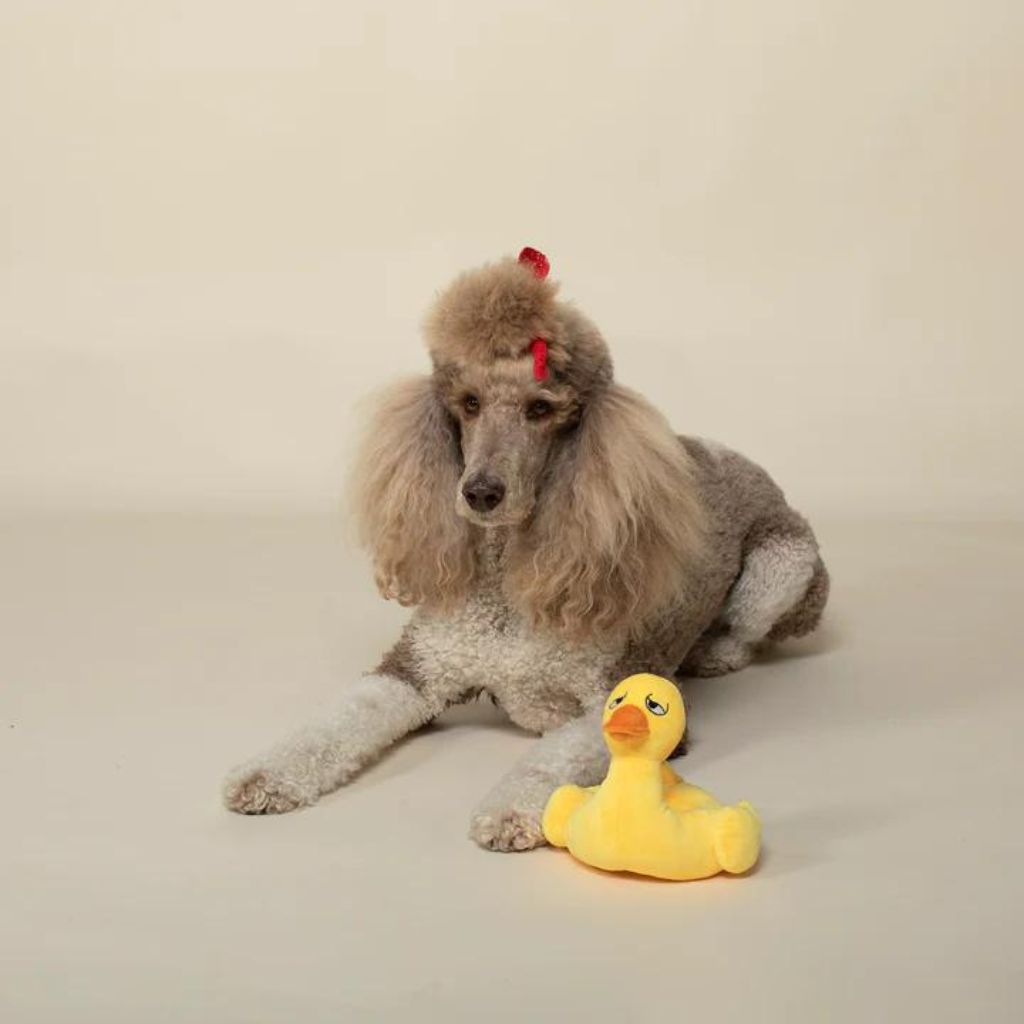 Petshop by Fringe Studio - Floating By Dog Toy