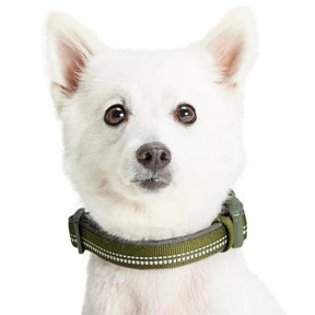 Olive Green | 3M Reflective Neoprene Padded Dog Collar