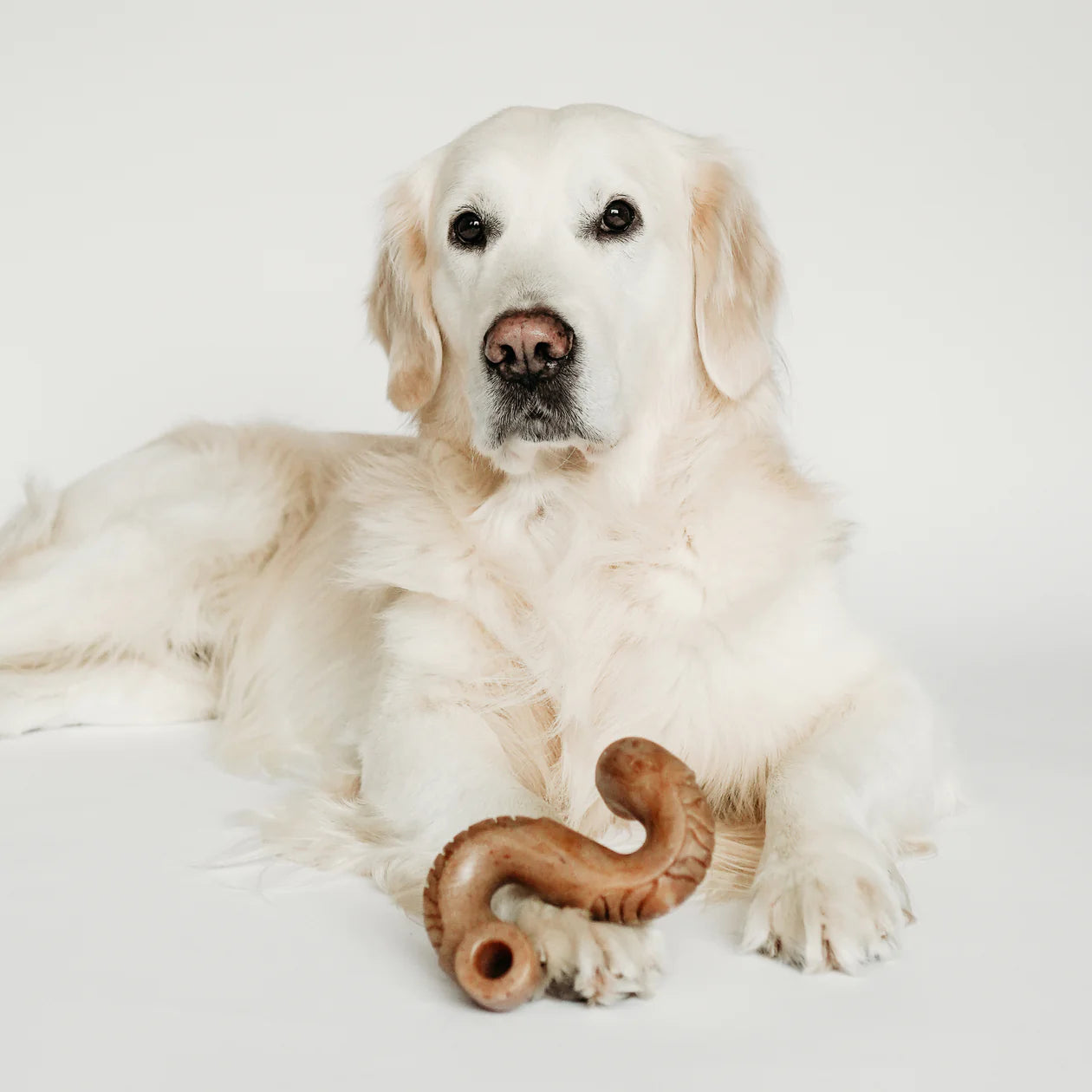 Tripe Bone Nylon Chew Toy