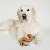 Tripe Bone Nylon Chew Toy