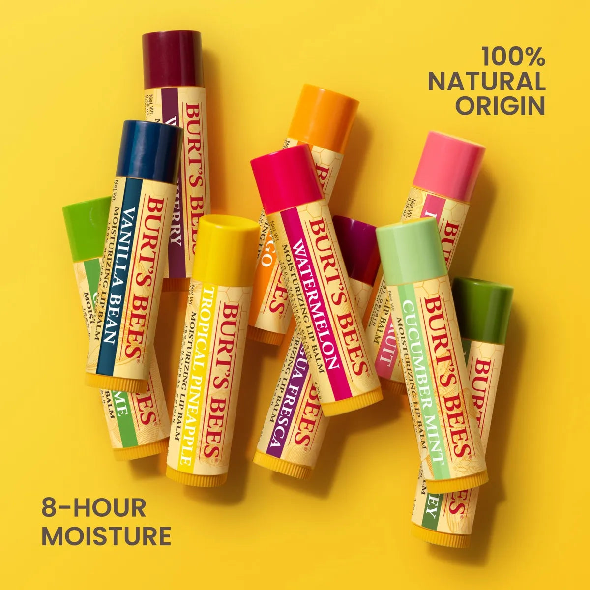 Burt's Bees - Lip Balm (Fruity Flavors)