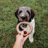 Ring Nylon Chew Toy Bacon