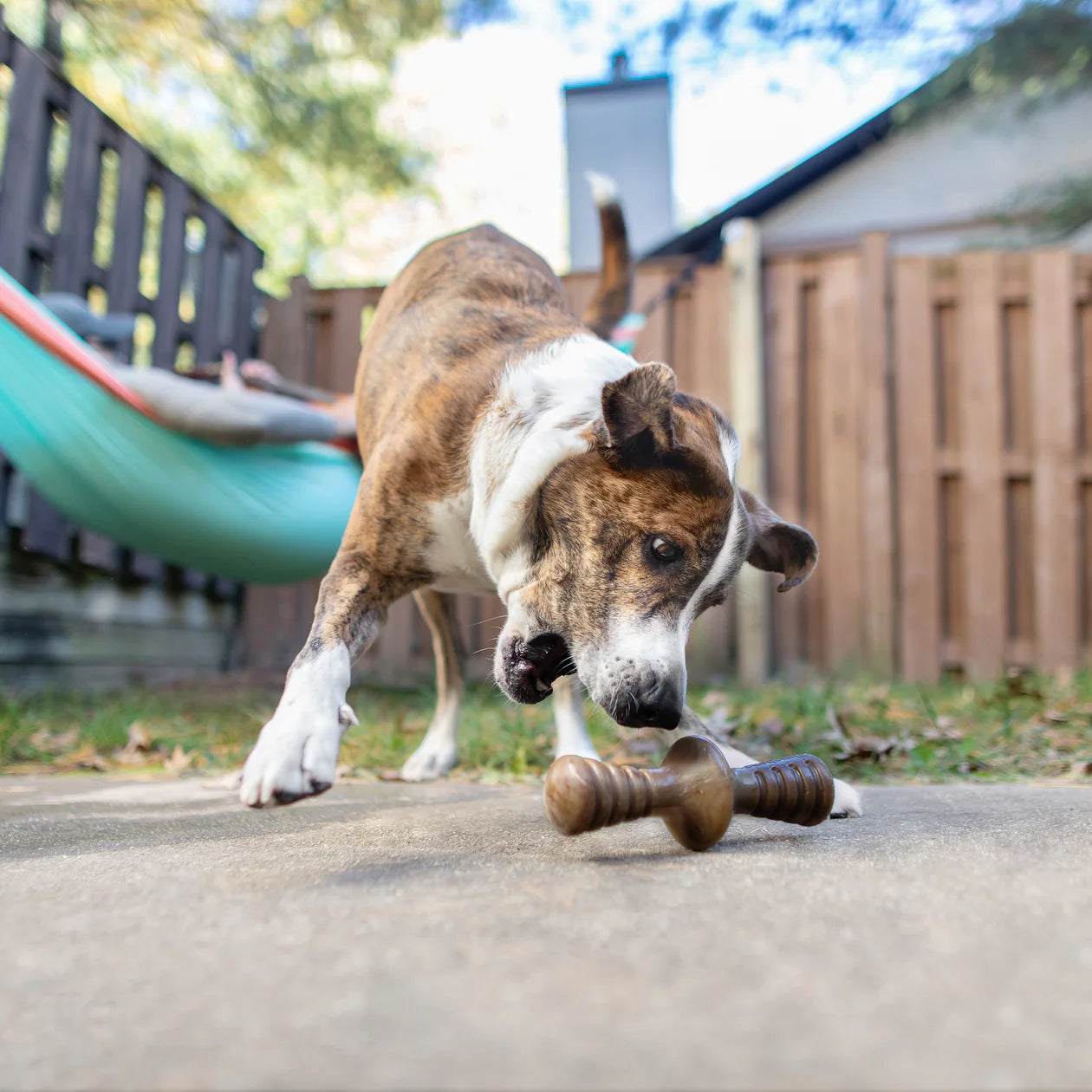 Zaggler Nylon Chew Toy Peanut Butter