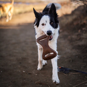 Benebone - Dental Nylon Chew Toy Bacon