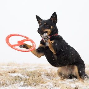 BIONIC Toss-N-Tug FDA Food