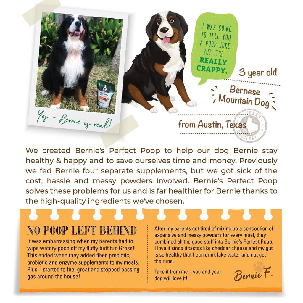 Bernie's Perfect Poop Dog Treats