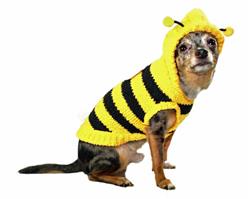 Barker's Bowtique - Sweater Bumble Bee Chenille