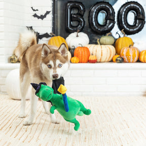 Petshop by Fringe Studio - Dog Toy SPELL-A-SAURUS