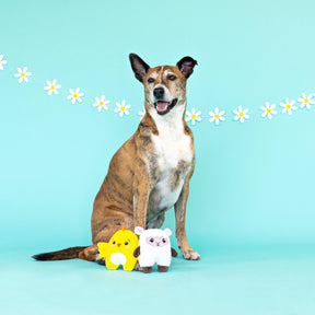 Petshop by Fringe Studio - Dog Toy Hoppy Together