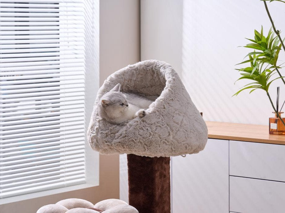 Cat Bed Rose Cradle Plush