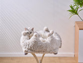 Cat Bed Crown Plush