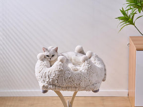 Cat Bed Crown Plush