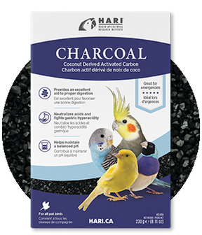 Hari - Charcoal Coconut-Derived Activated Carbon