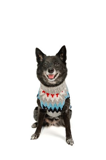 Dog Sweater Gray Chevron