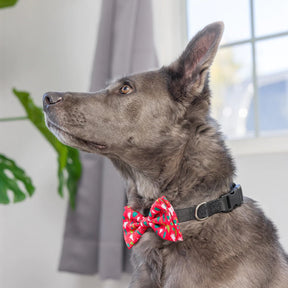 Huxley & Kent - Bow Tie Christmas Tree