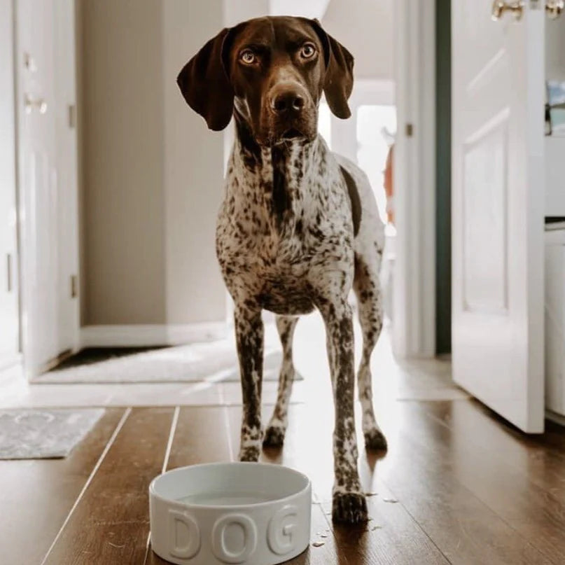 Park Life Classic Grey "Dog" Bowl