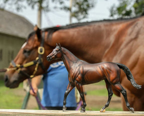 Breyer - Cody's Wish