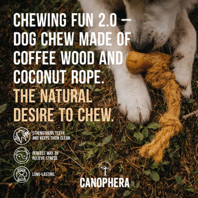 Chew Stick Made Of Coffee Wood & Coconut Rope