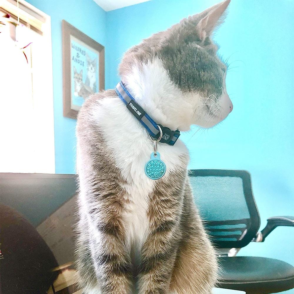 Breakaway Cat Collar "The Travel Cat"